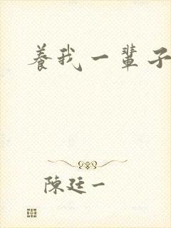 养我一辈子封面