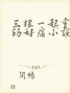 三根一起会坏掉的好痛小说