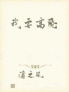 我要高飞封面