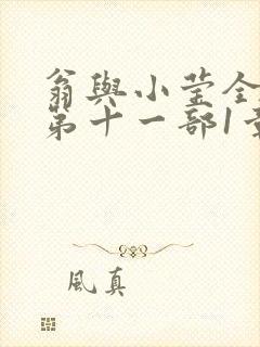 翁与小莹全目录第十一部1章