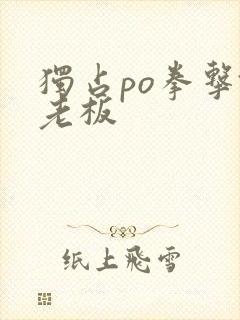 独占po拳击馆老板