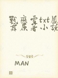 战恋雪txt凤舞原著小说封面