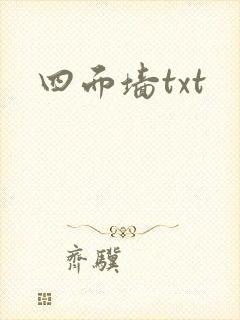 四面墙txt