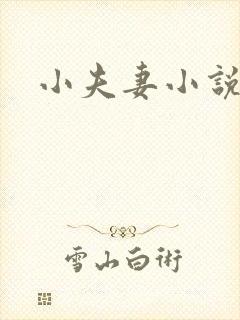 小夫妻小说封面