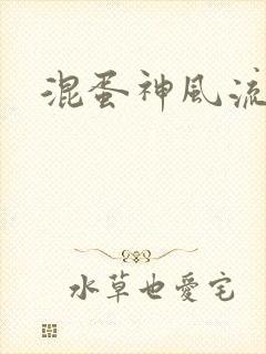 混蛋神风流记
