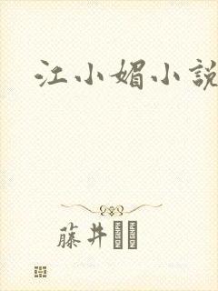 江小媚小说封面