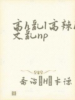 高h乱l高辣h文乱np