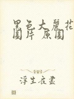 黑色大丽花真实图片 原图封面