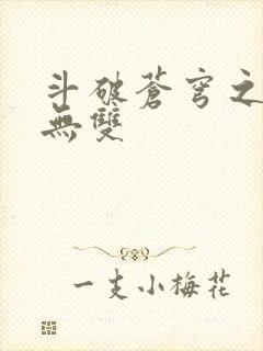 斗破苍穹之淫帝无双封面