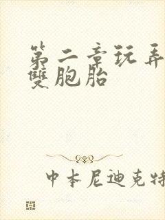 第二章玩弄校花双胞胎