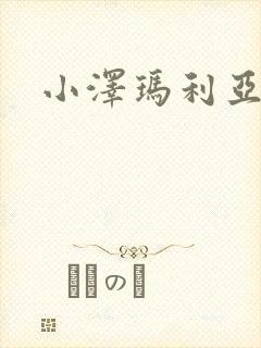 小泽玛利亚作品