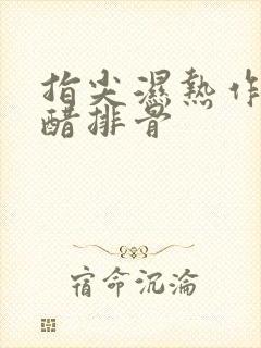 指尖湿热作者糖醋排骨封面