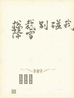 总裁别碰我 韩降雪封面