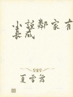 小说邻家有女初长成封面