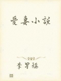 爱妻小说