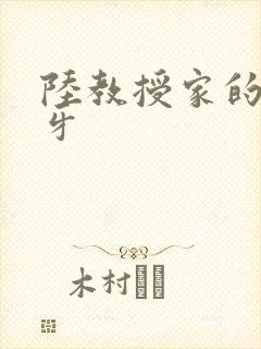 陆教授家的小月牙封面