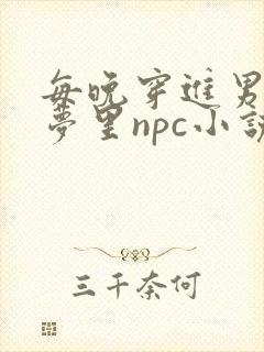 每晚穿进男神的梦里npc小说