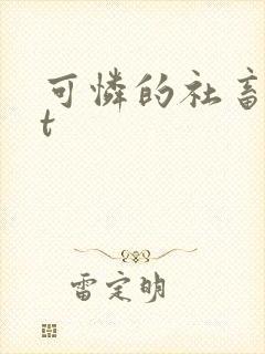 可怜的社畜txt封面