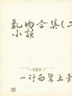 乱肉合集(二)小说封面