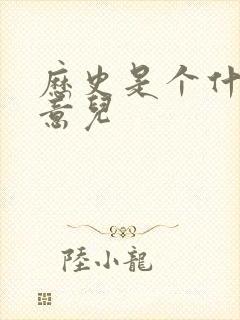 历史是个什么玩意儿封面