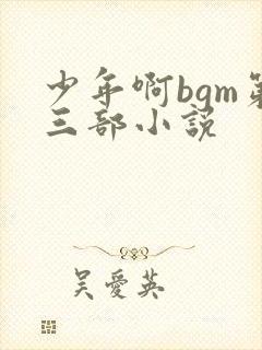 少年啊bgm第三部小说封面