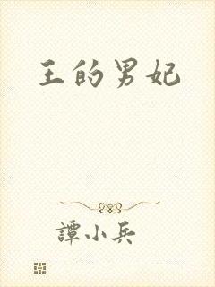 王的男妃封面