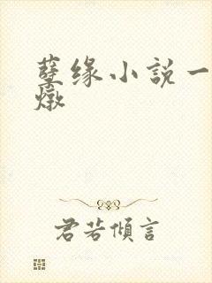 孽缘小说一家乱炖