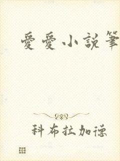 爱爱小说笔趣阁封面