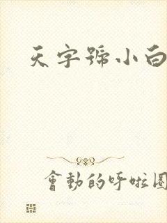 天字号小白脸