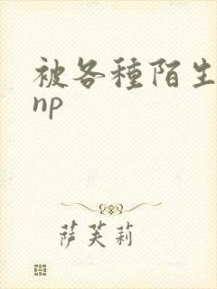 被各种陌生人 np