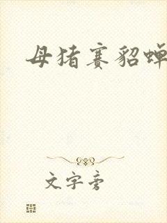 母猪赛貂蝉封面