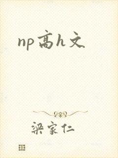 np高h文