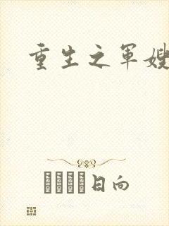 重生之军嫂封面