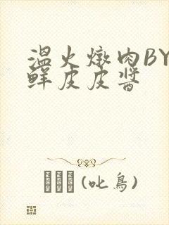 温火炖肉BY海鲜皮皮酱