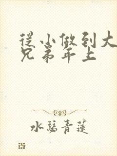 从小做到大骨科兄弟年上