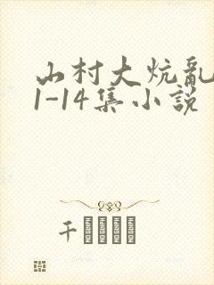 山村大炕乱肉续1-14集小说封面