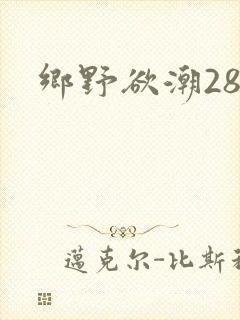 乡野欲潮28章