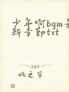 少年啊bgm最新章节txt