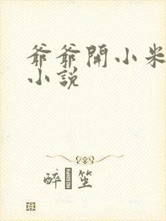 爷爷开小米的包小说