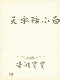 天字号小白脸