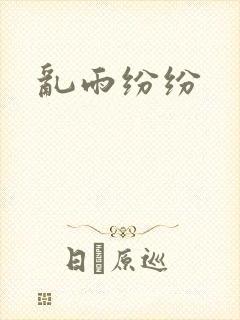乱雨纷纷封面