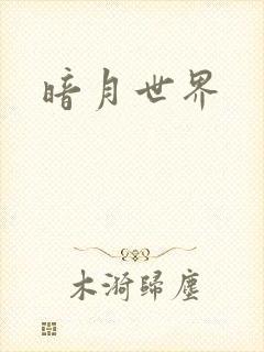 暗月世界