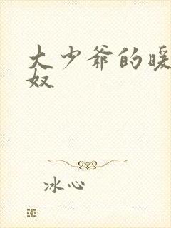 大少爷的暖床小奴封面