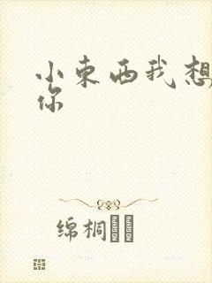 小东西我想弄坏你封面