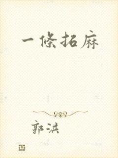 一条拓麻封面