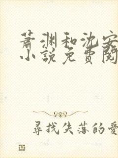 萧渊和沈安安的小说免费阅读