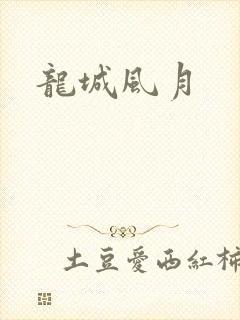 龙城风月