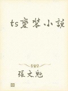 ts变装小说