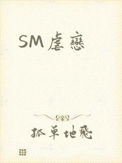 SM虐恋
