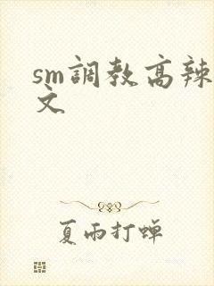 sm调教高辣h文